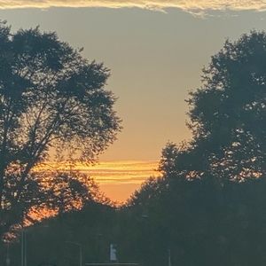 Meet your Posher, Wanda